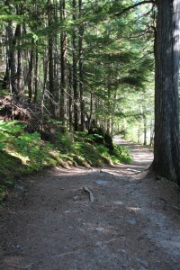 The trail to Kinney Lake